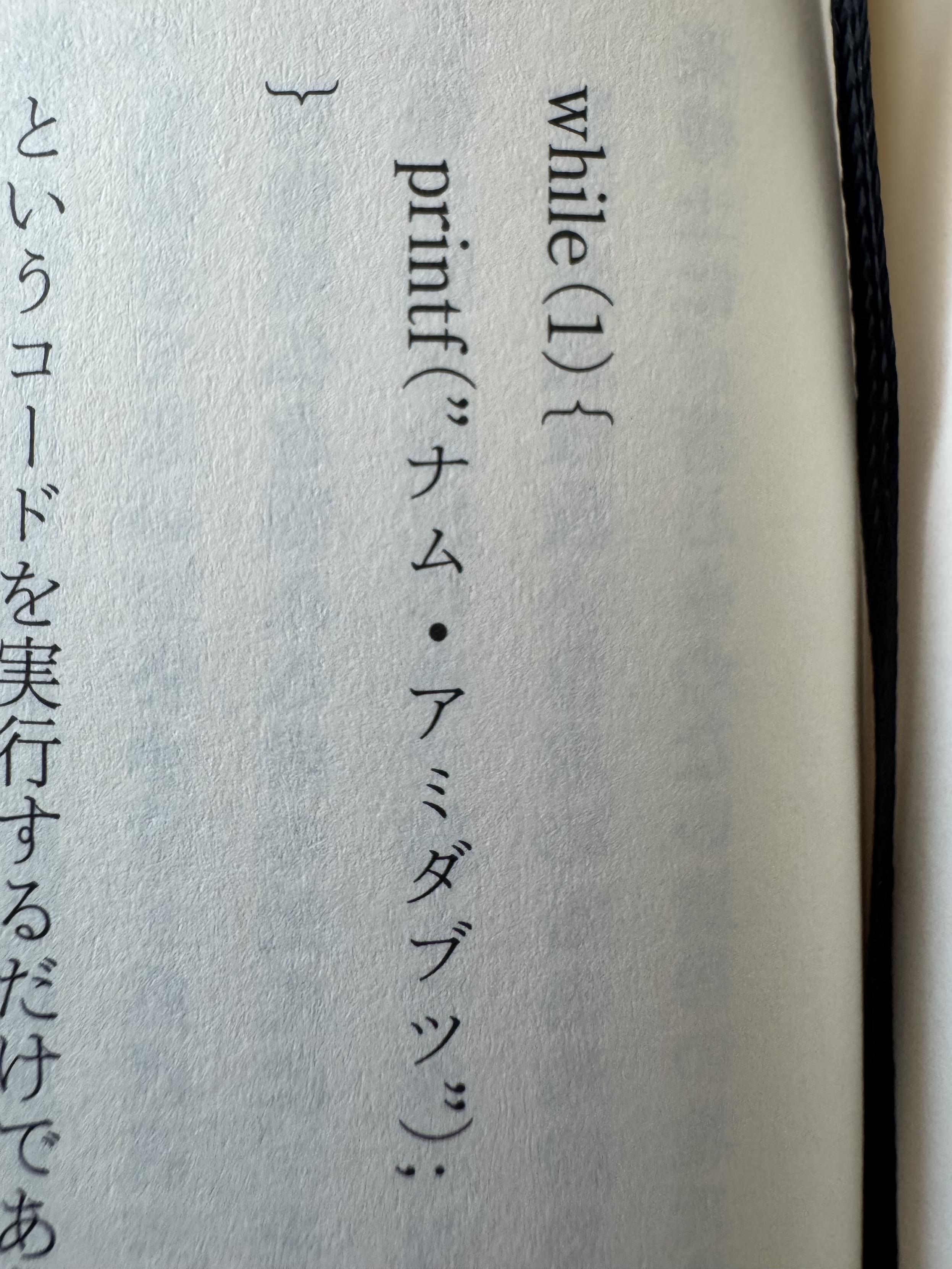 while(1) {
printf(“ナム・アミダブツ”);
}